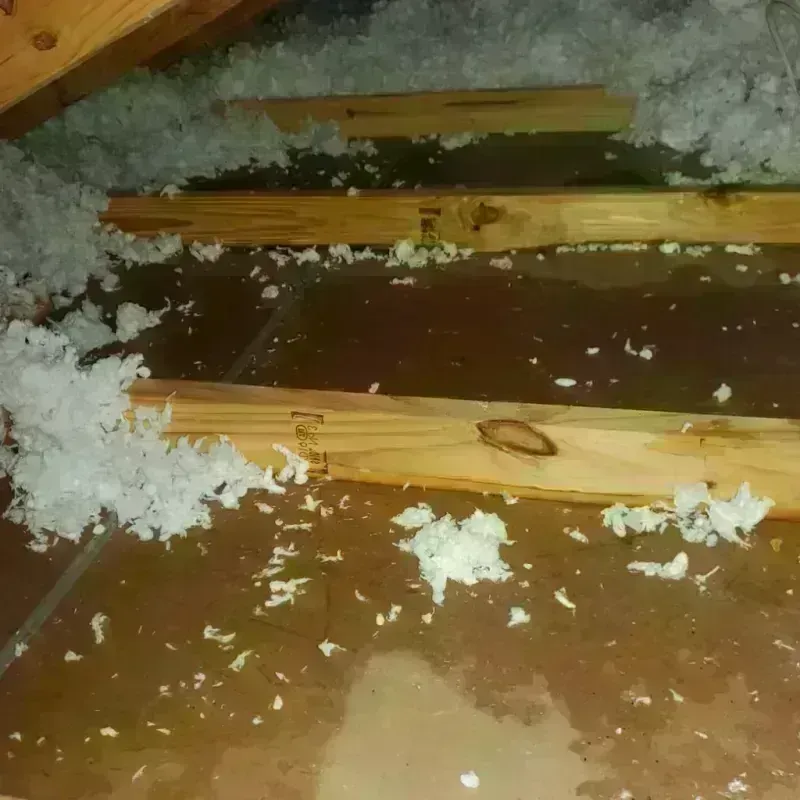 Attic Water Damage in Esperanza, PR